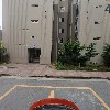 여성크로커다일 망우_4