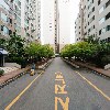 여성크로커다일 망우_2