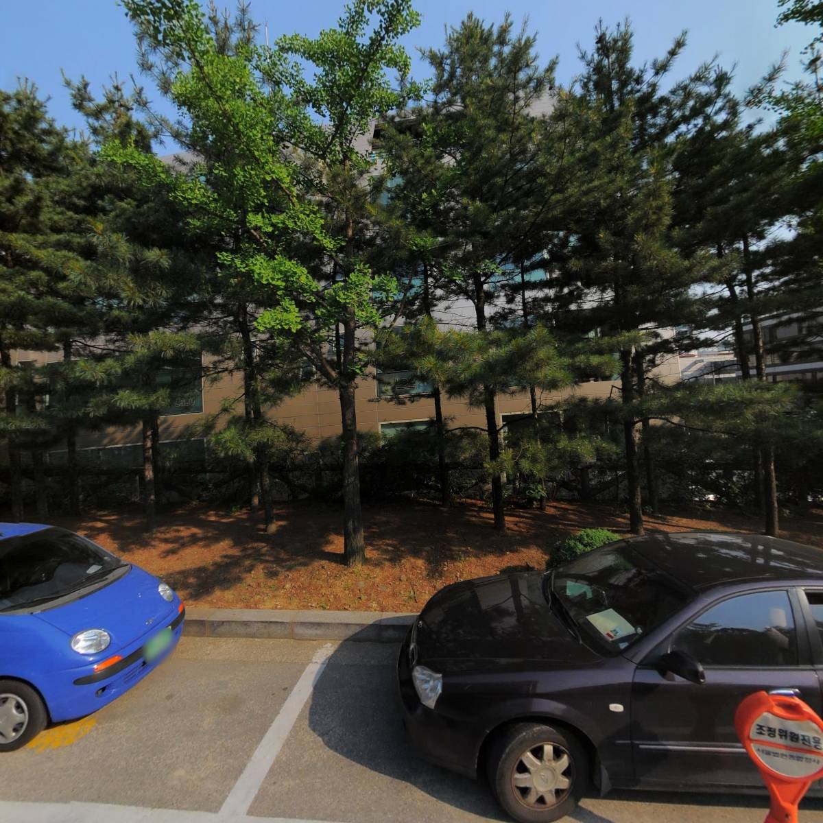 법률사무소 지효