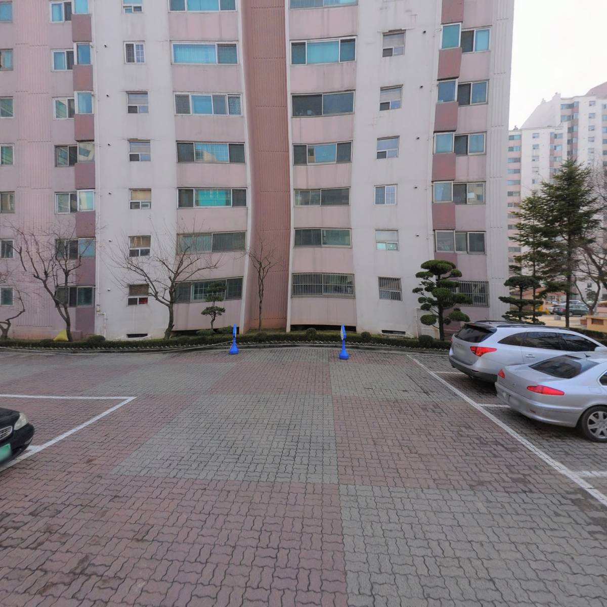 지바이크_2