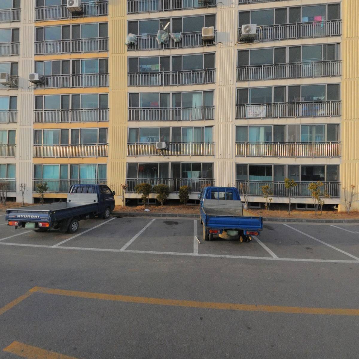 장미할인마트