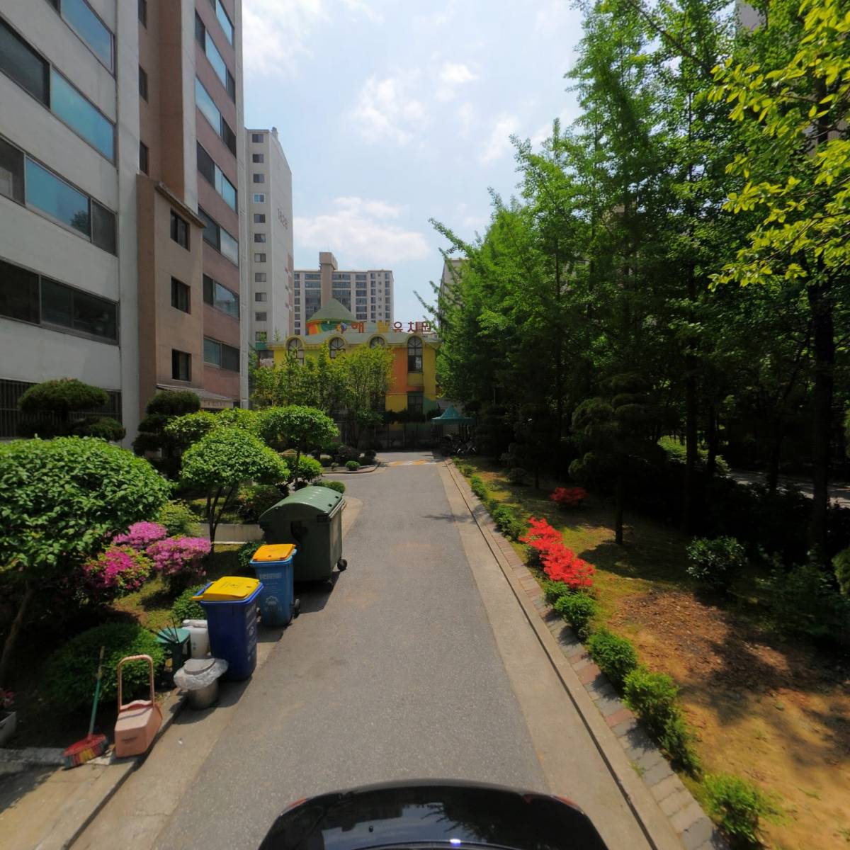 꽃순이_4