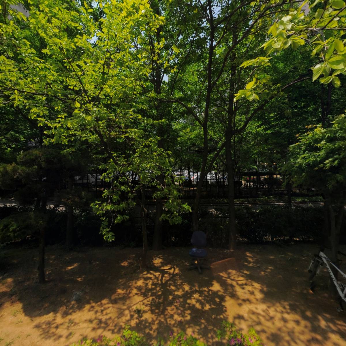 꽃순이