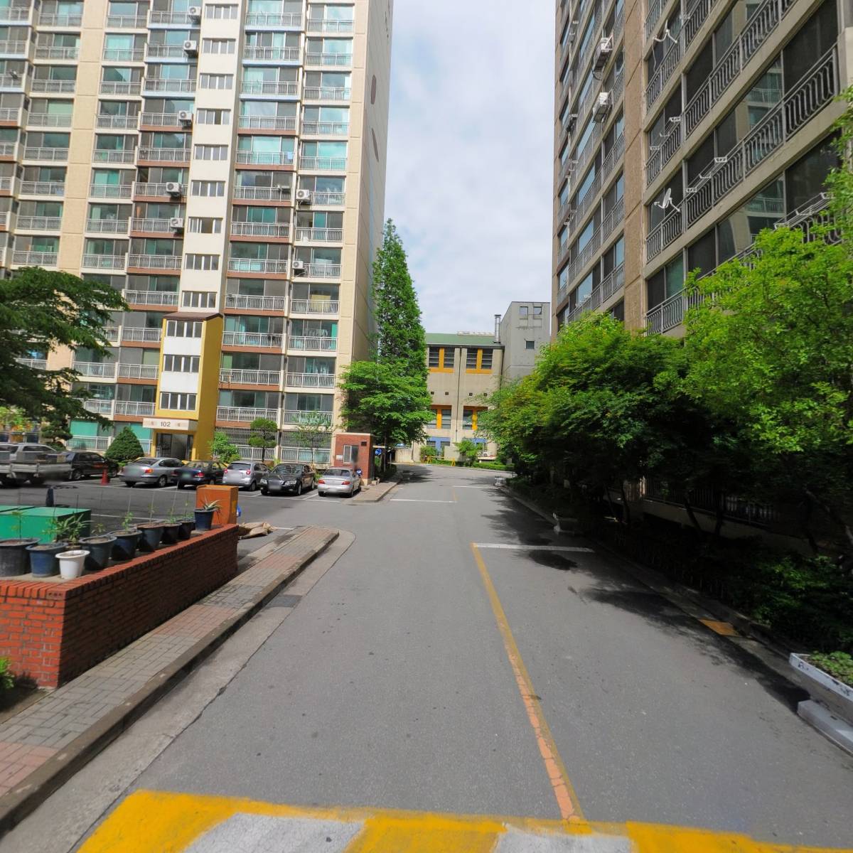 비둘기컴퍼니_2