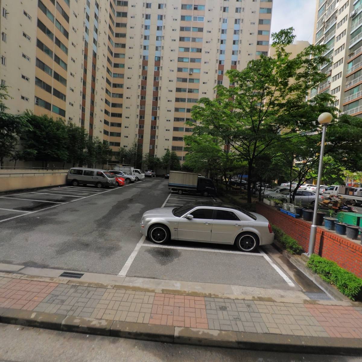 비둘기컴퍼니