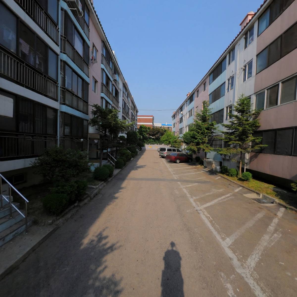 짹짹이네_2