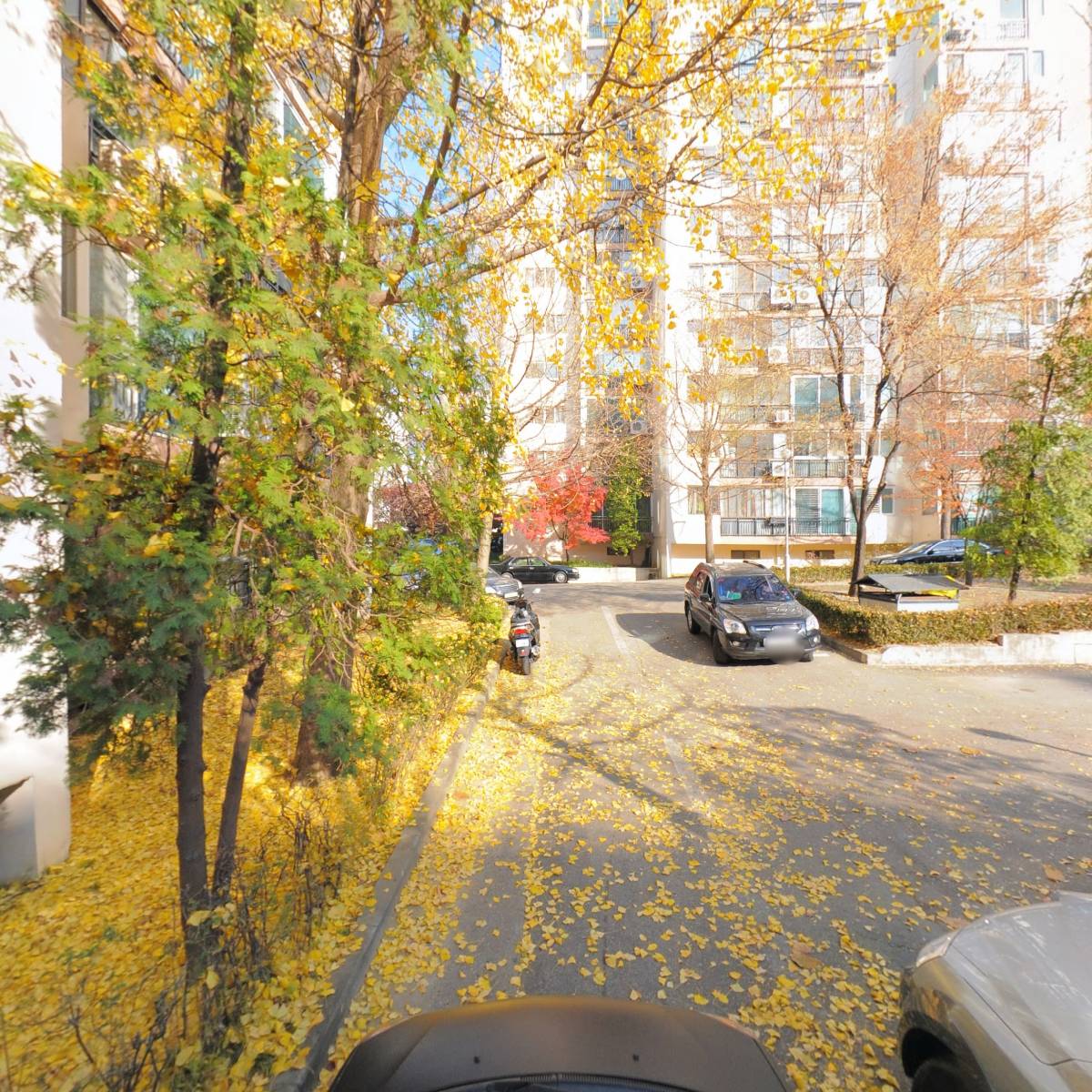 키위닷컴_4