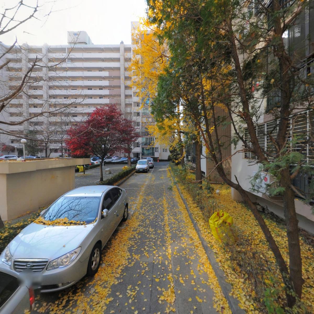 키위닷컴_2