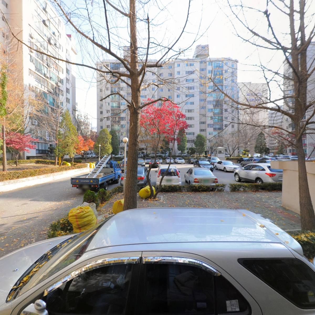 키위닷컴