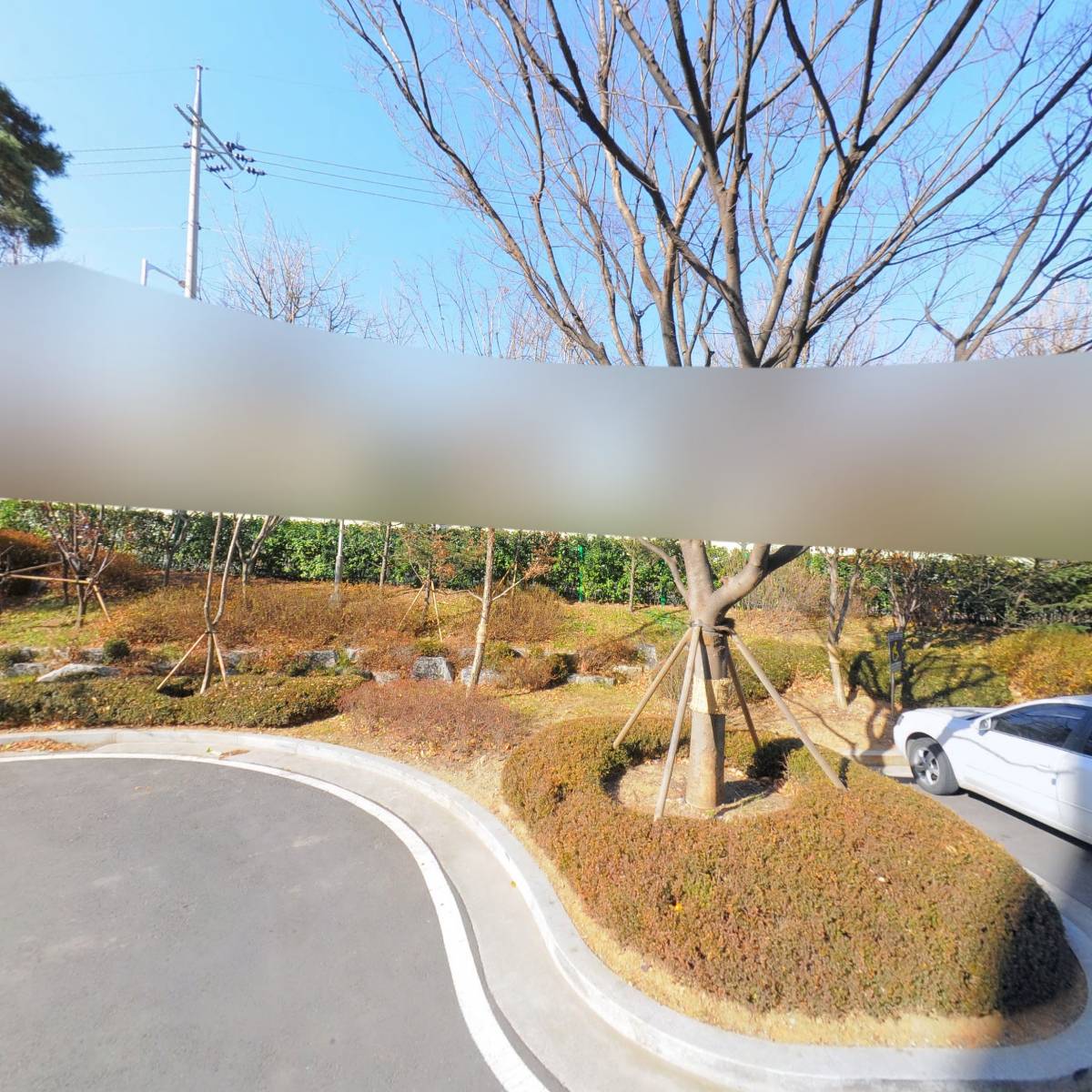 더코리아홀딩스(주）