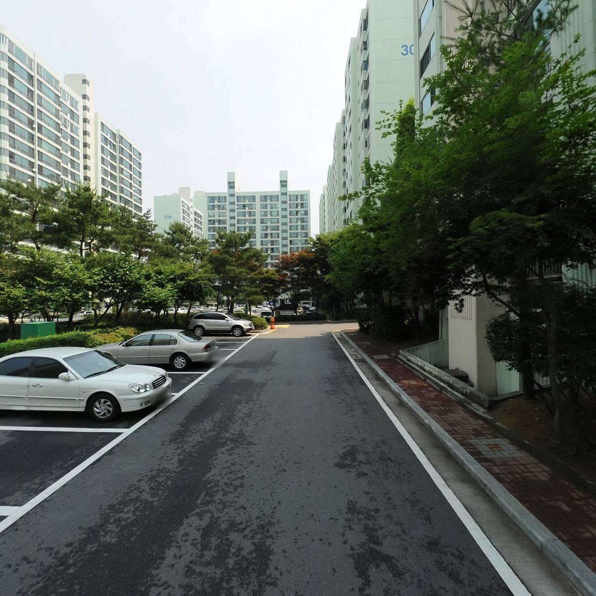 늘푸레_2
