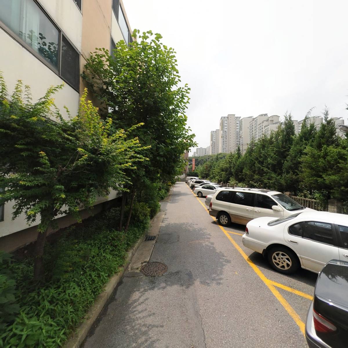 에스디트레이딩(SD trading)_2