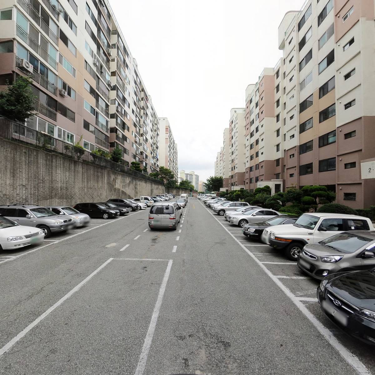 생목화원_4