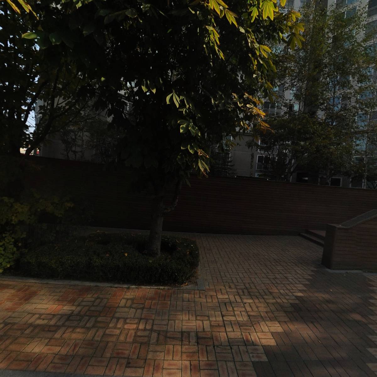 춘천시티발레단