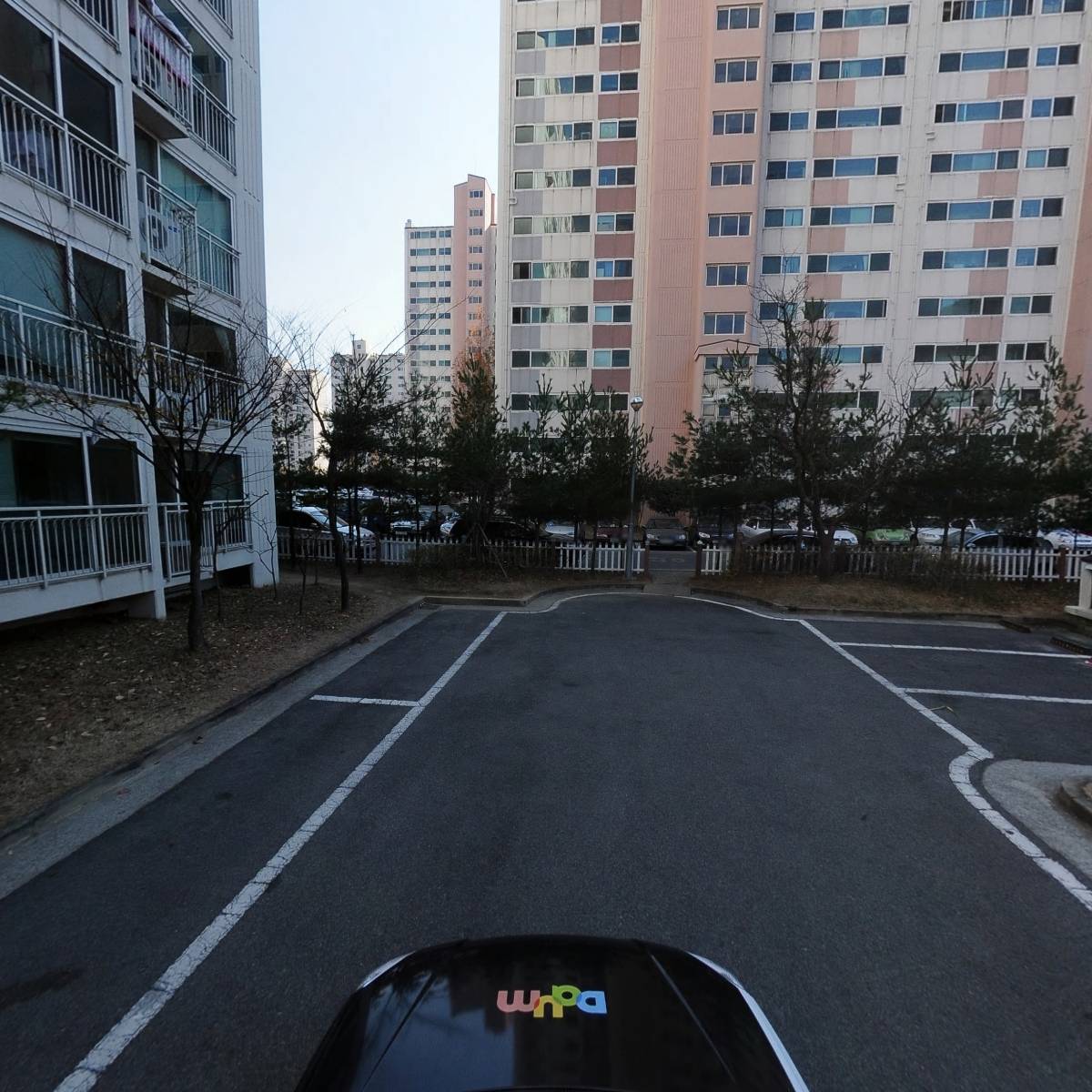 더블유에스에프_4