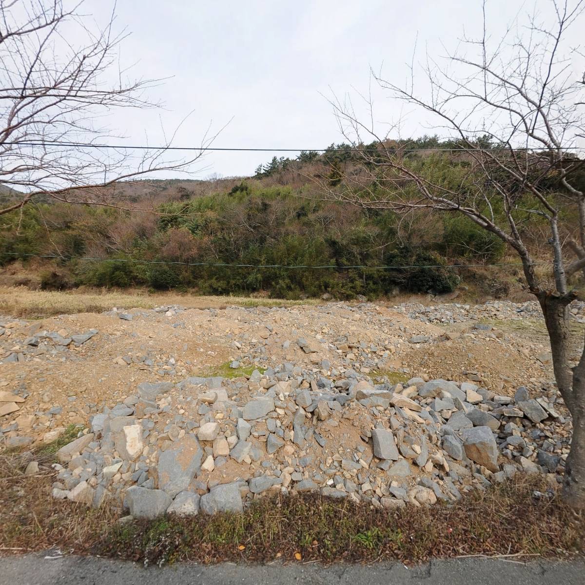 금오도방풍마을 영농조합법인