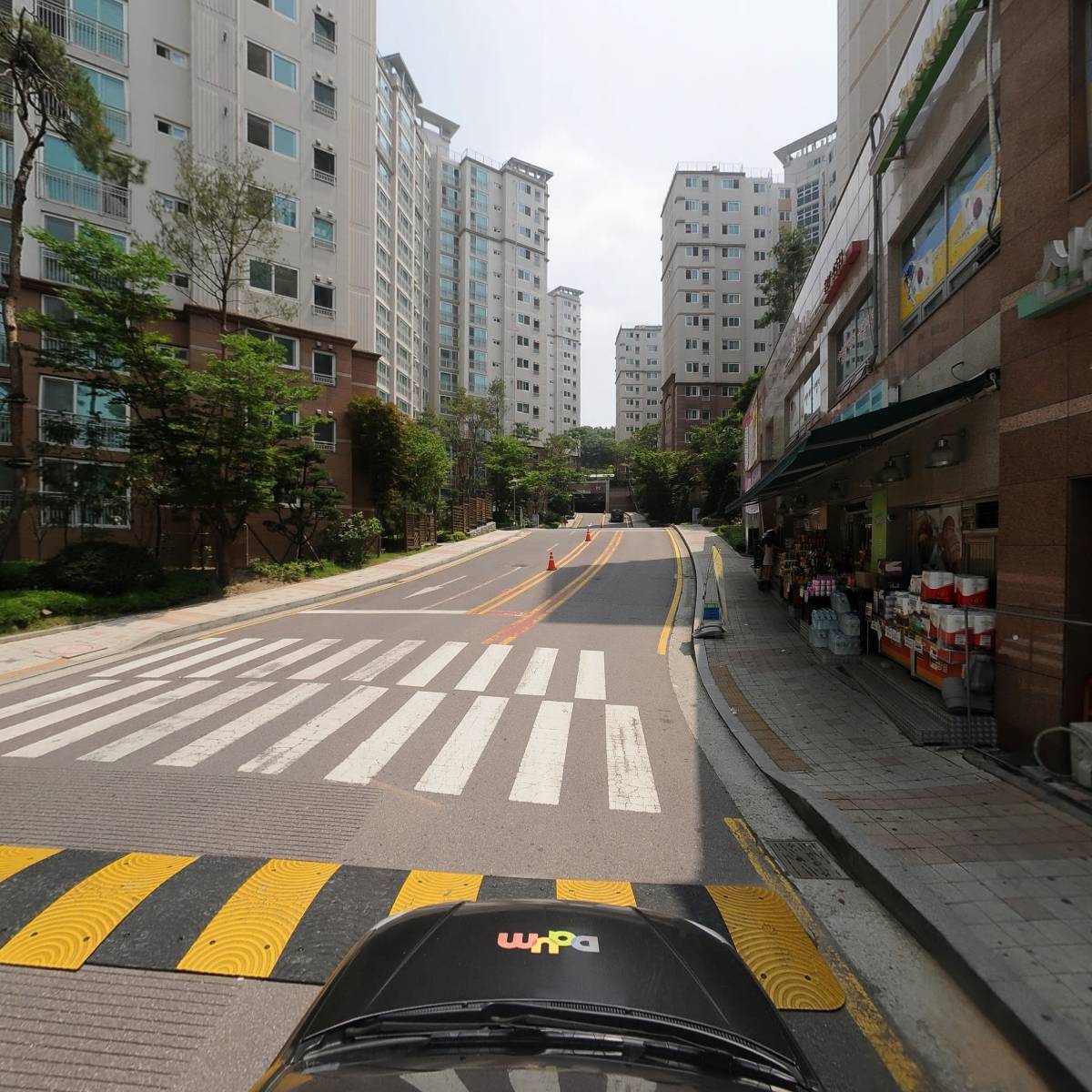 용인대예당태권도장_4