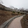 크랜베리소녀_4