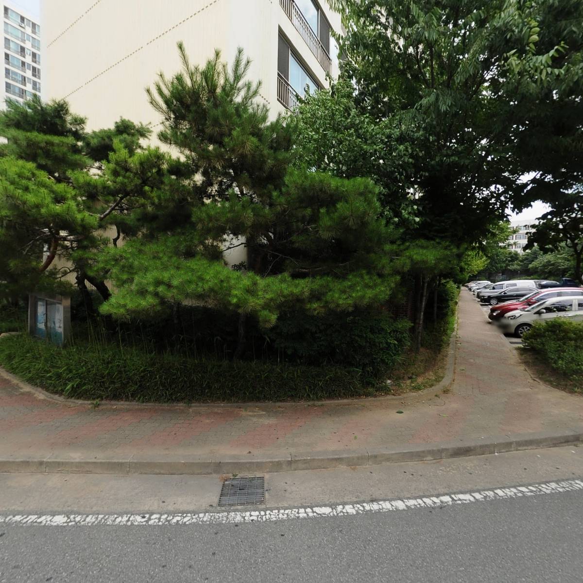라비올렛_3