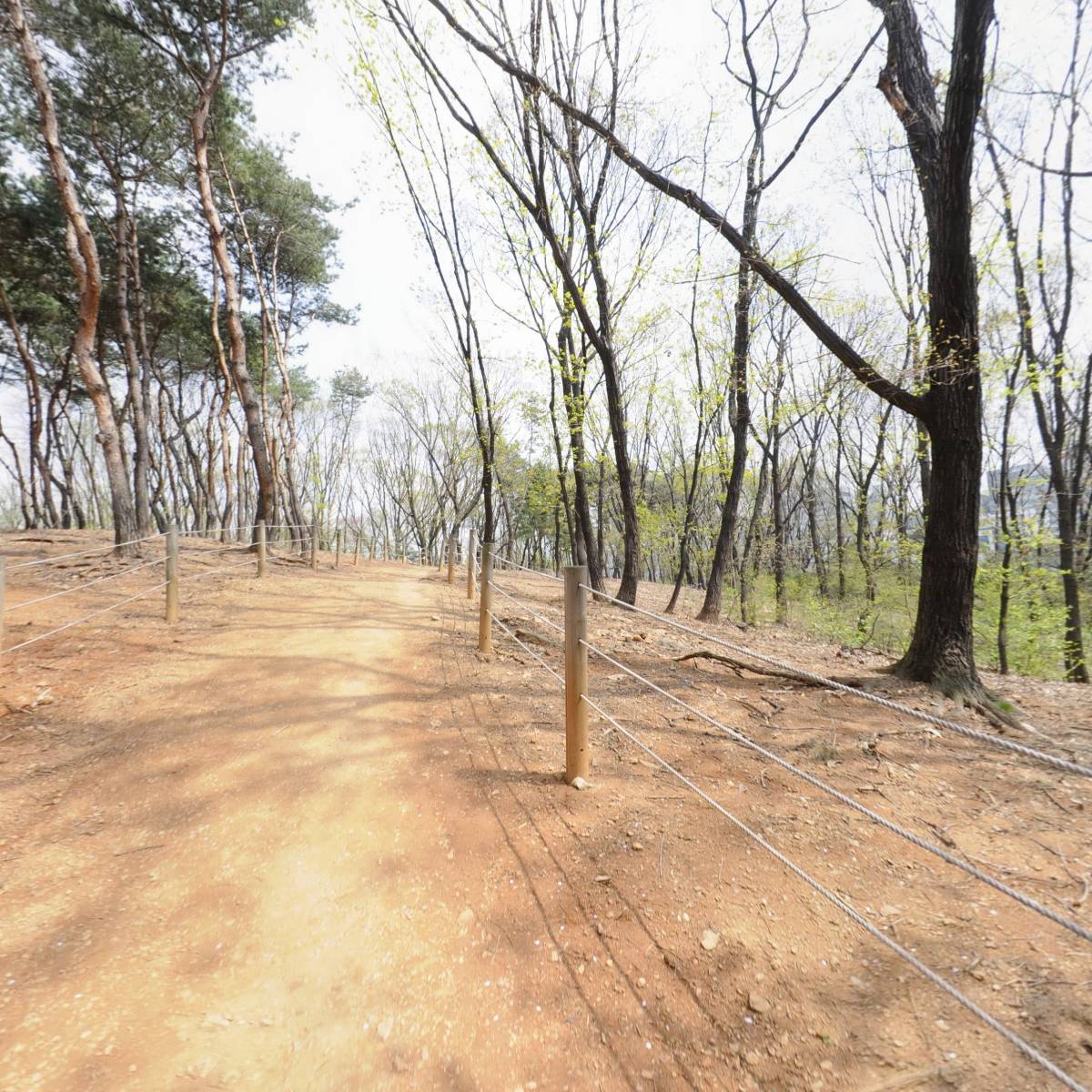 (주) 네오에이인터내셔날_2
