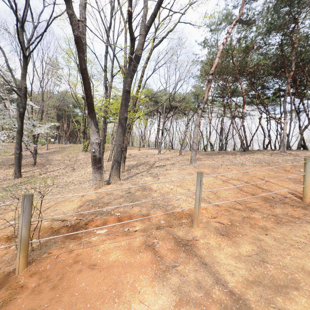(주) 네오에이인터내셔날