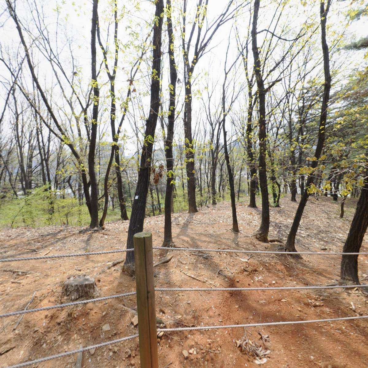 (주) 네오에이인터내셔날_3