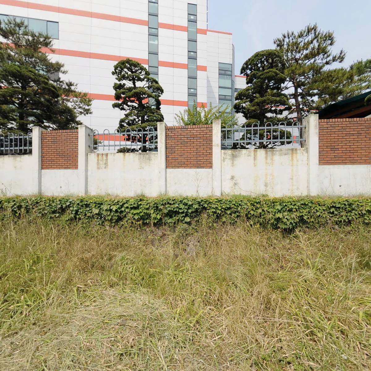 (주)코이넬