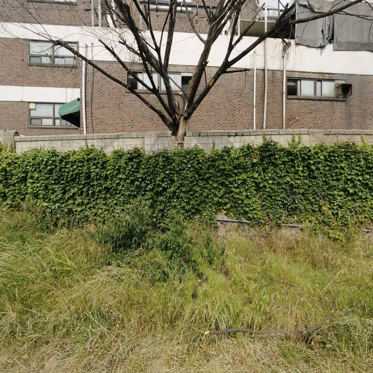 극동빌딩