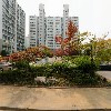 모노디트리_3
