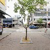 재래시장 파주금릉점_4
