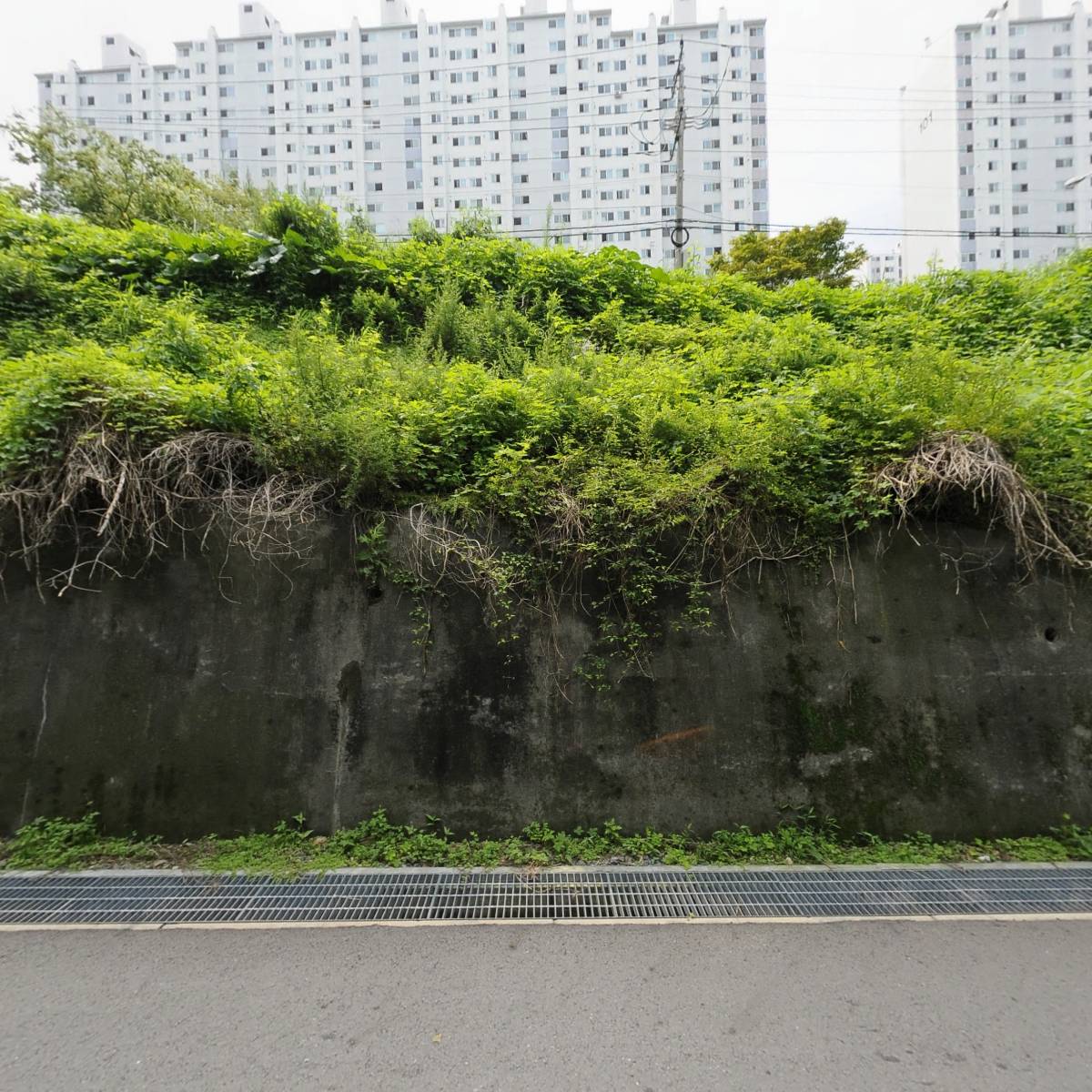 주식회사 오비오브_3