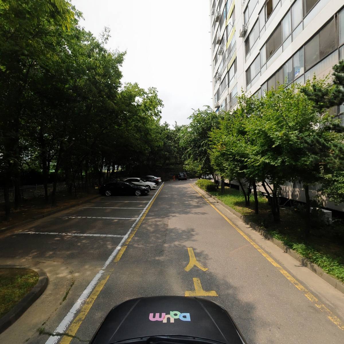 두손지젤801_4