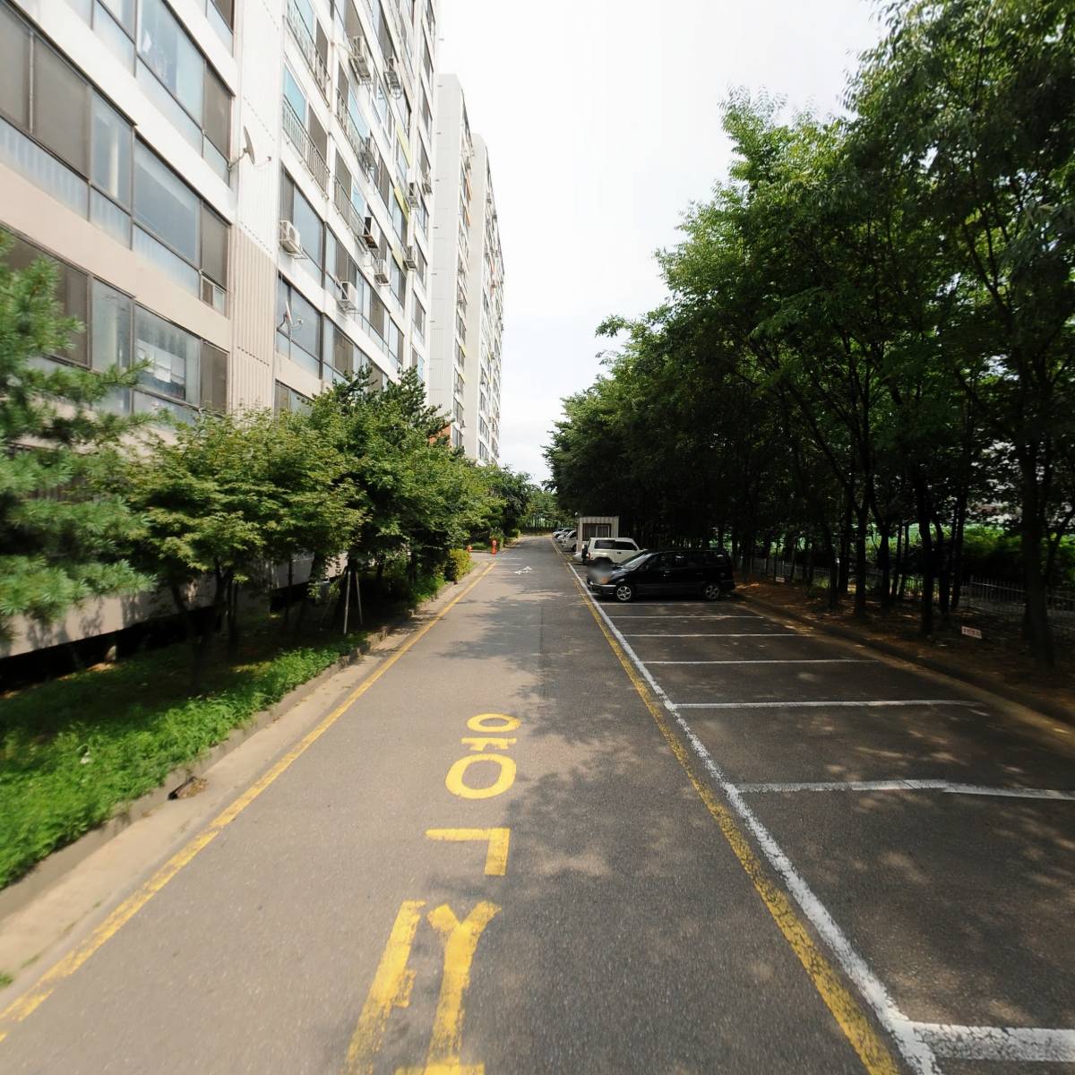 두손지젤801_2