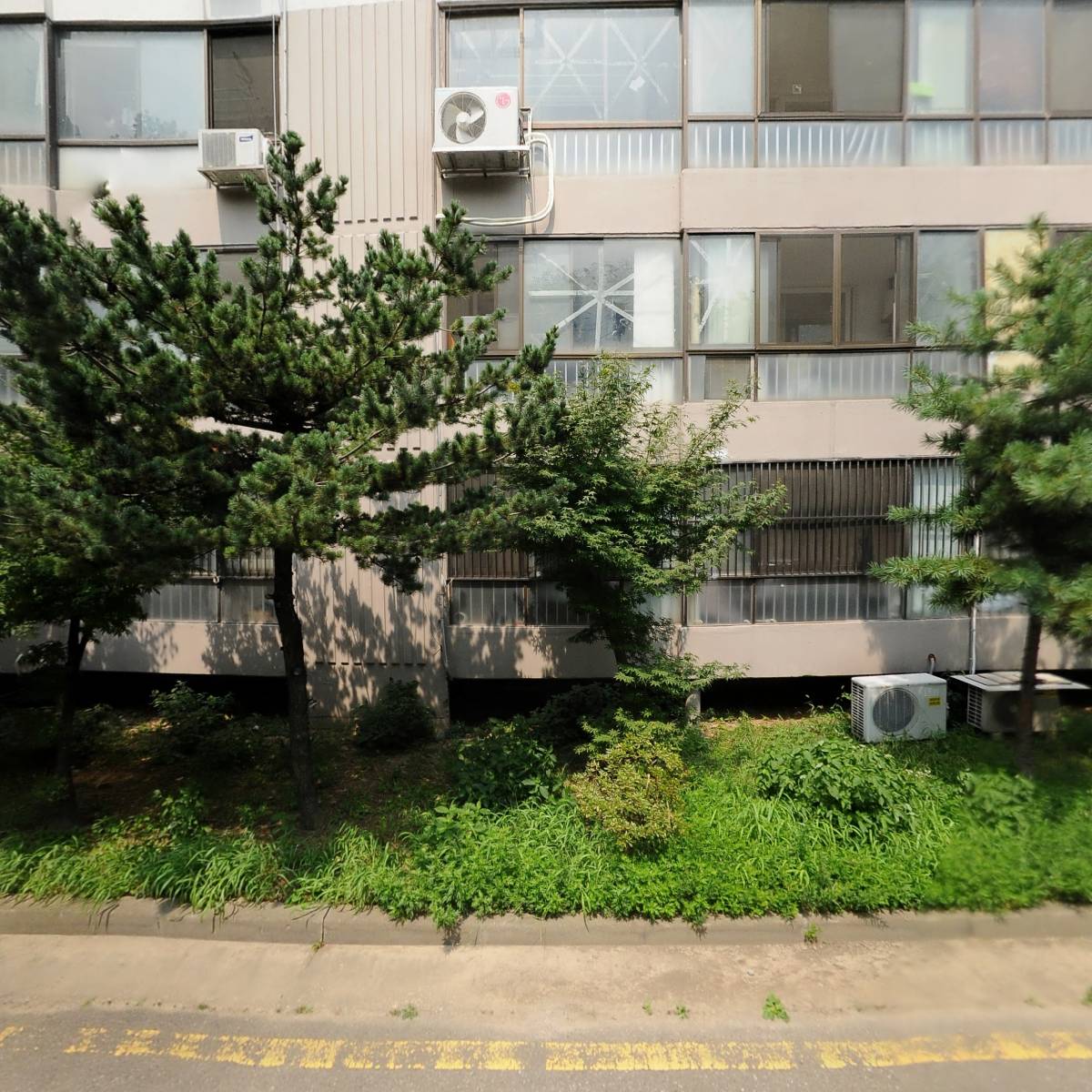 두손지젤801