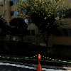 디제이텍스타일(DJ Textile)
