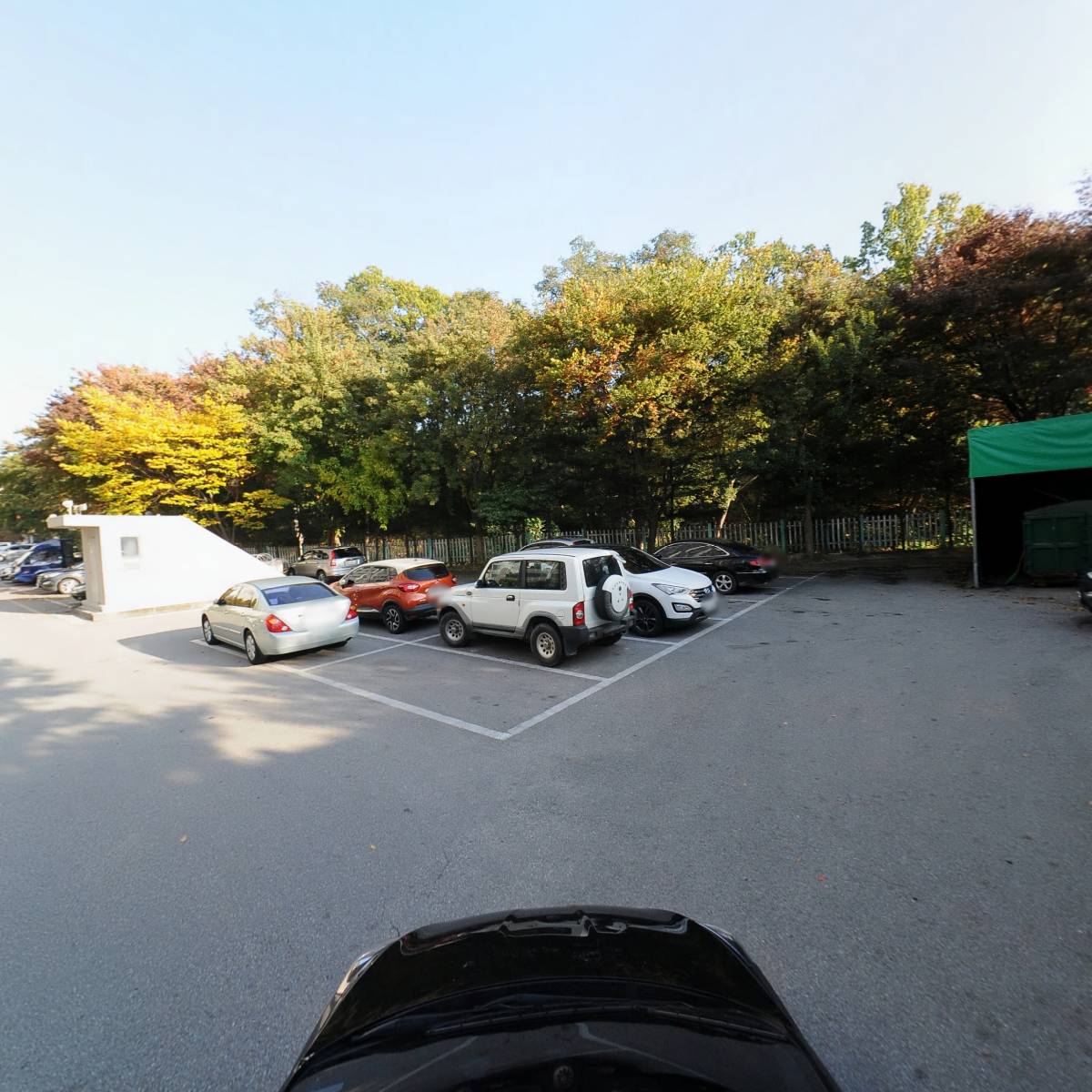 나무사랑_4