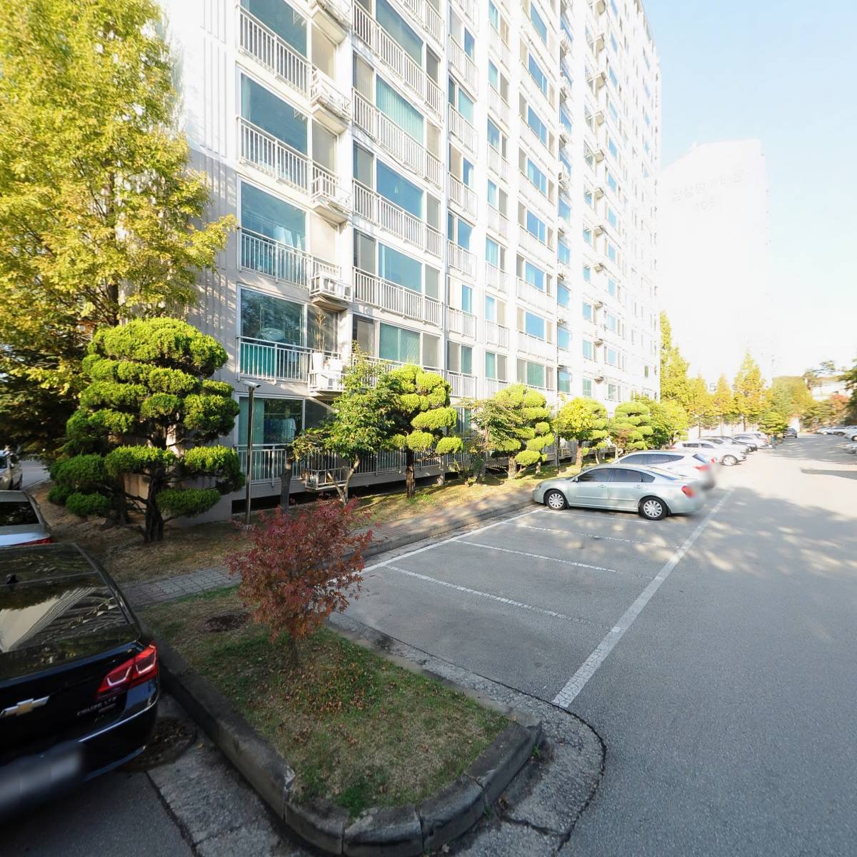 나무사랑_3