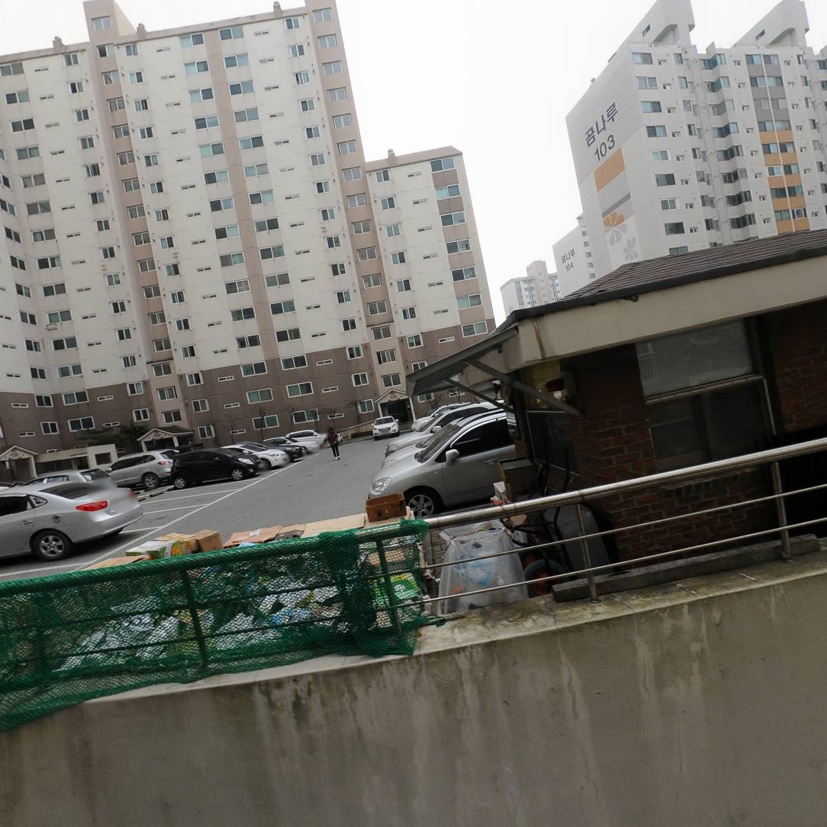 금강전자