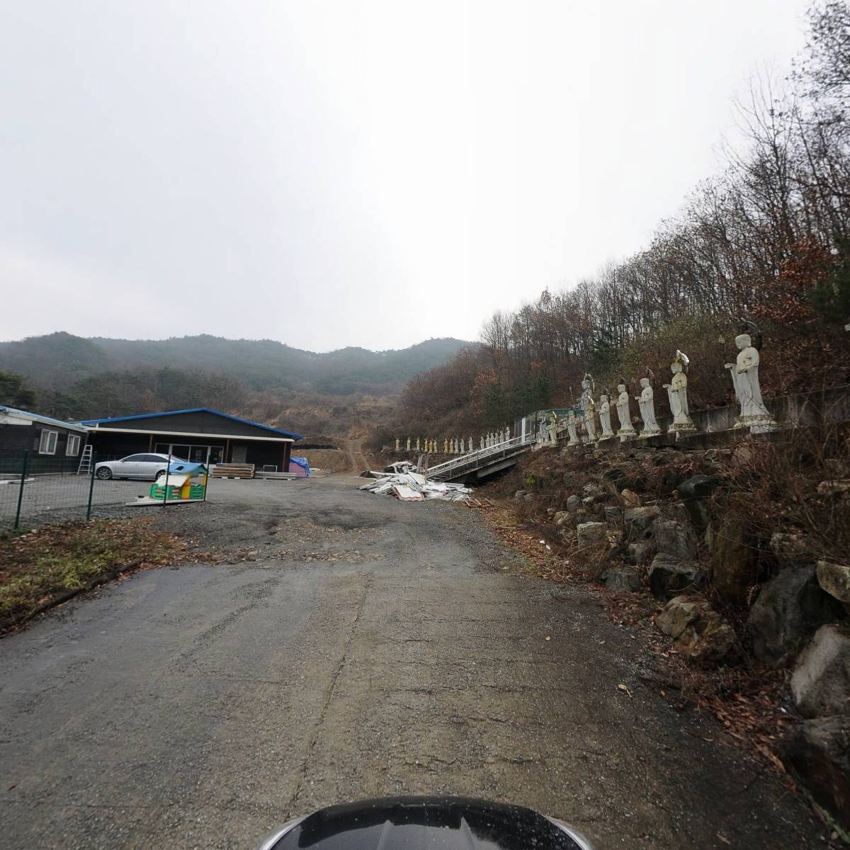 황비_4