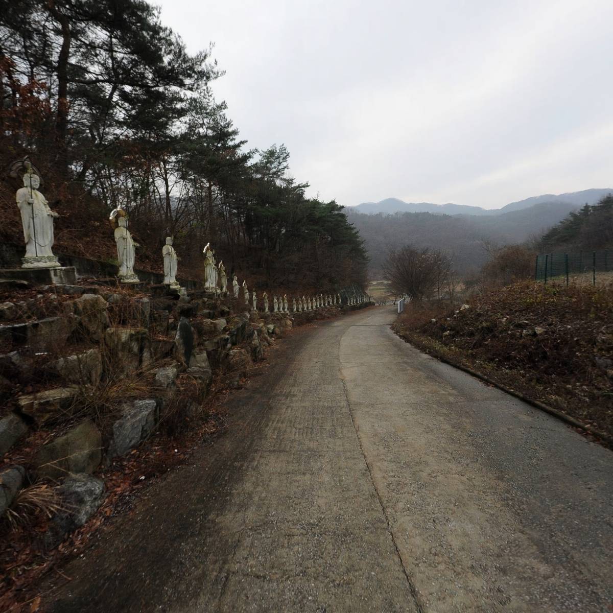 황비_2