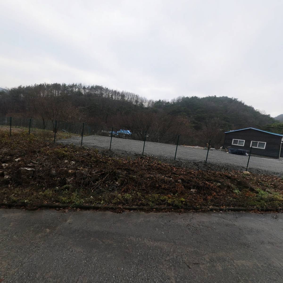 황비_3