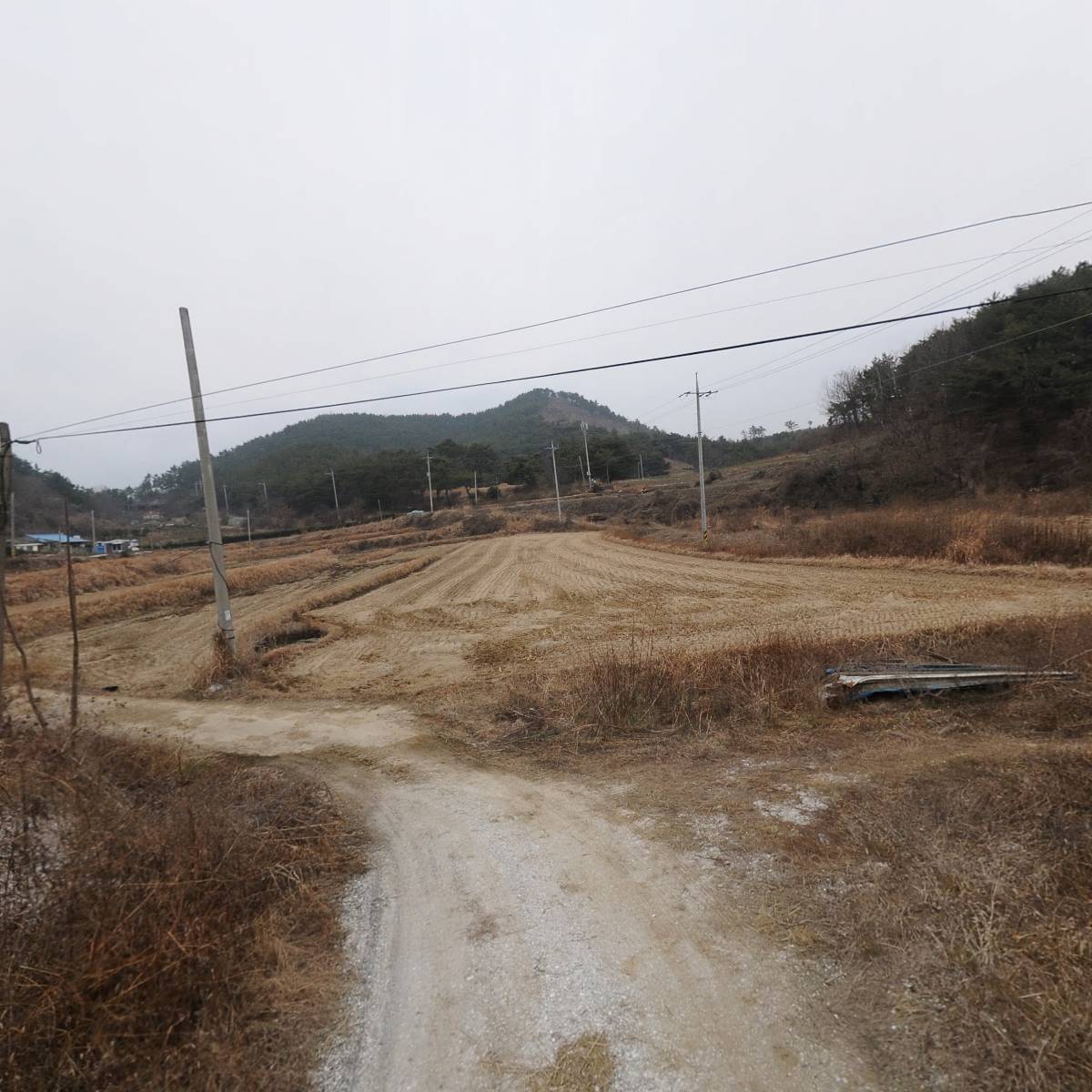 （주）다성바이오고성지점_2