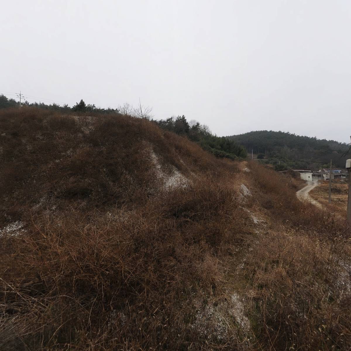 （주）다성바이오고성지점