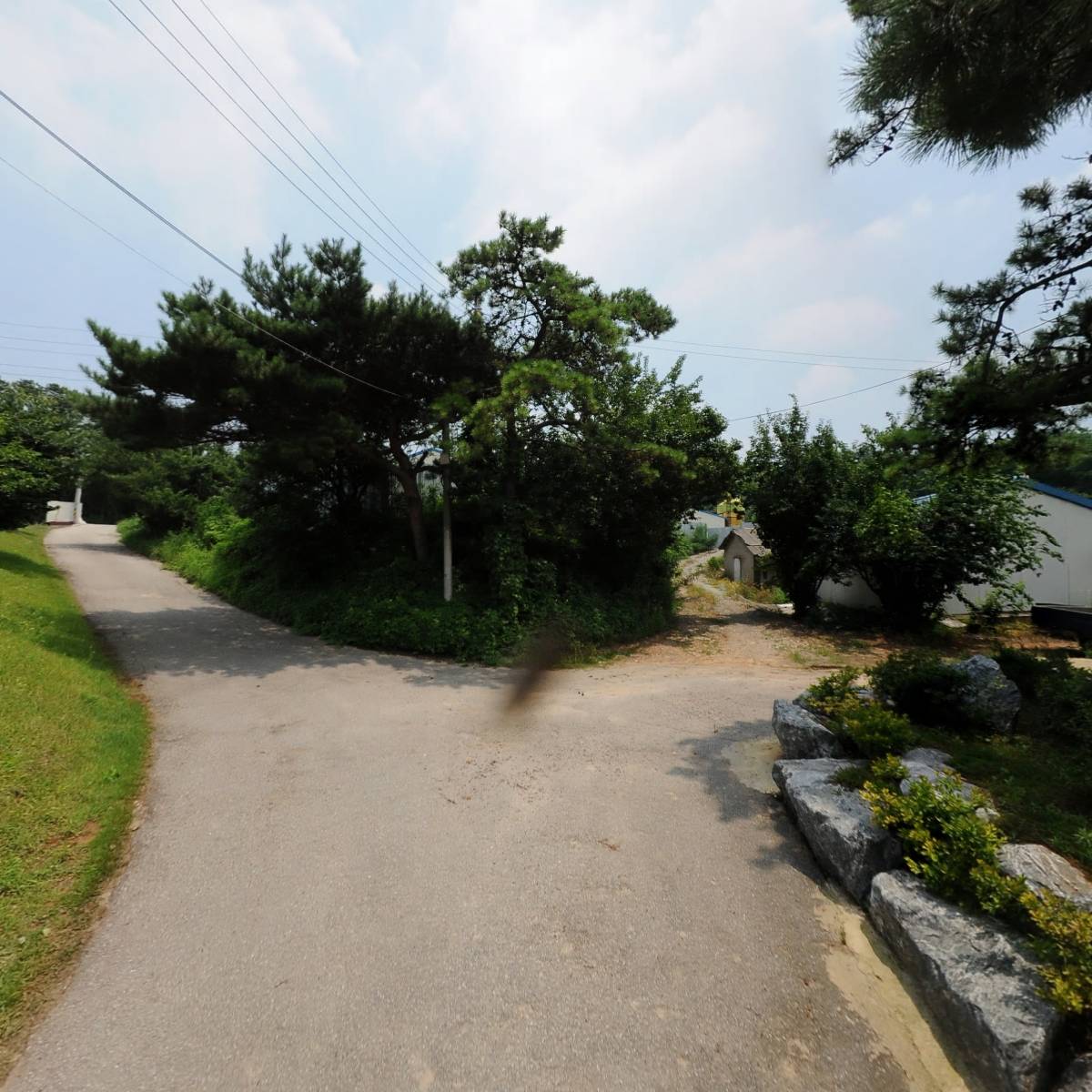 도곡농장_2
