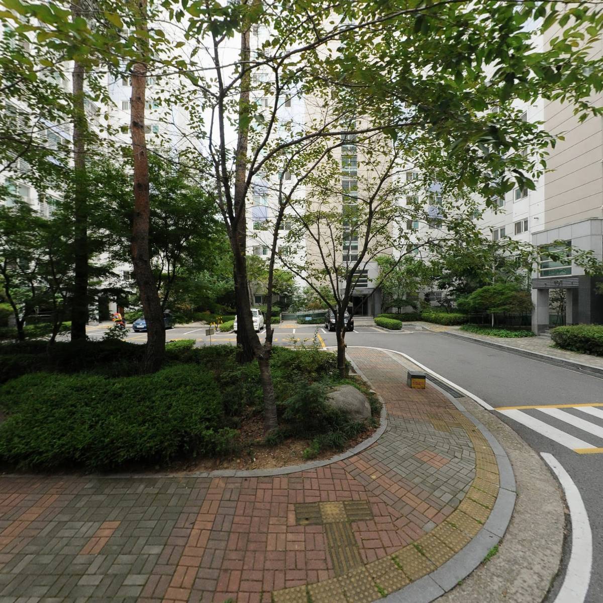 비비드블룸