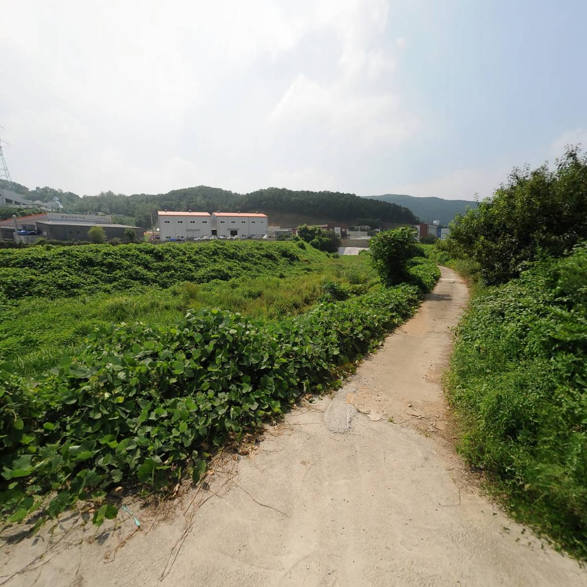 대성 이커머스_2