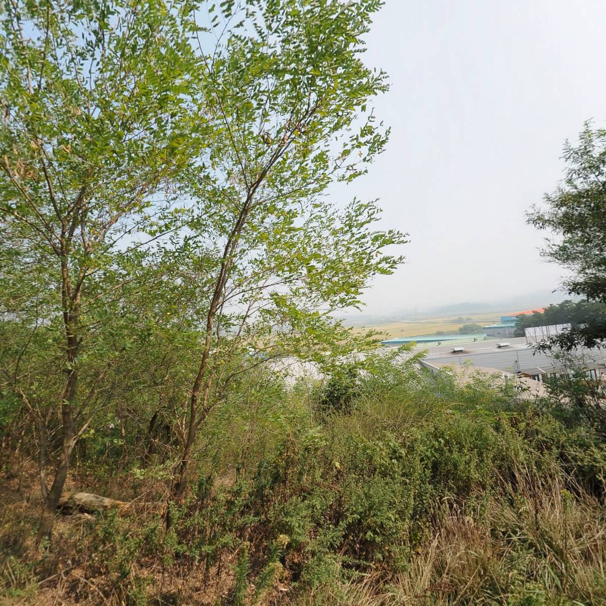 도은이엔지(주)