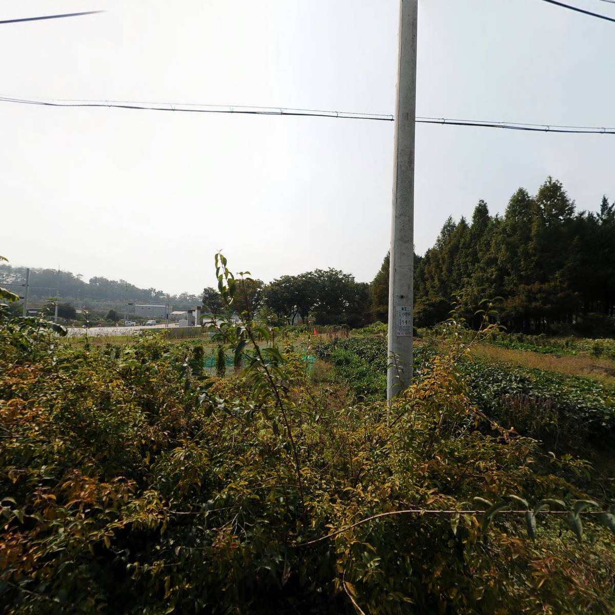 밝은전기 주식회사_3