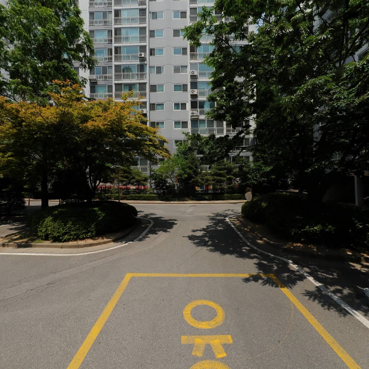 뉴본크로스_2