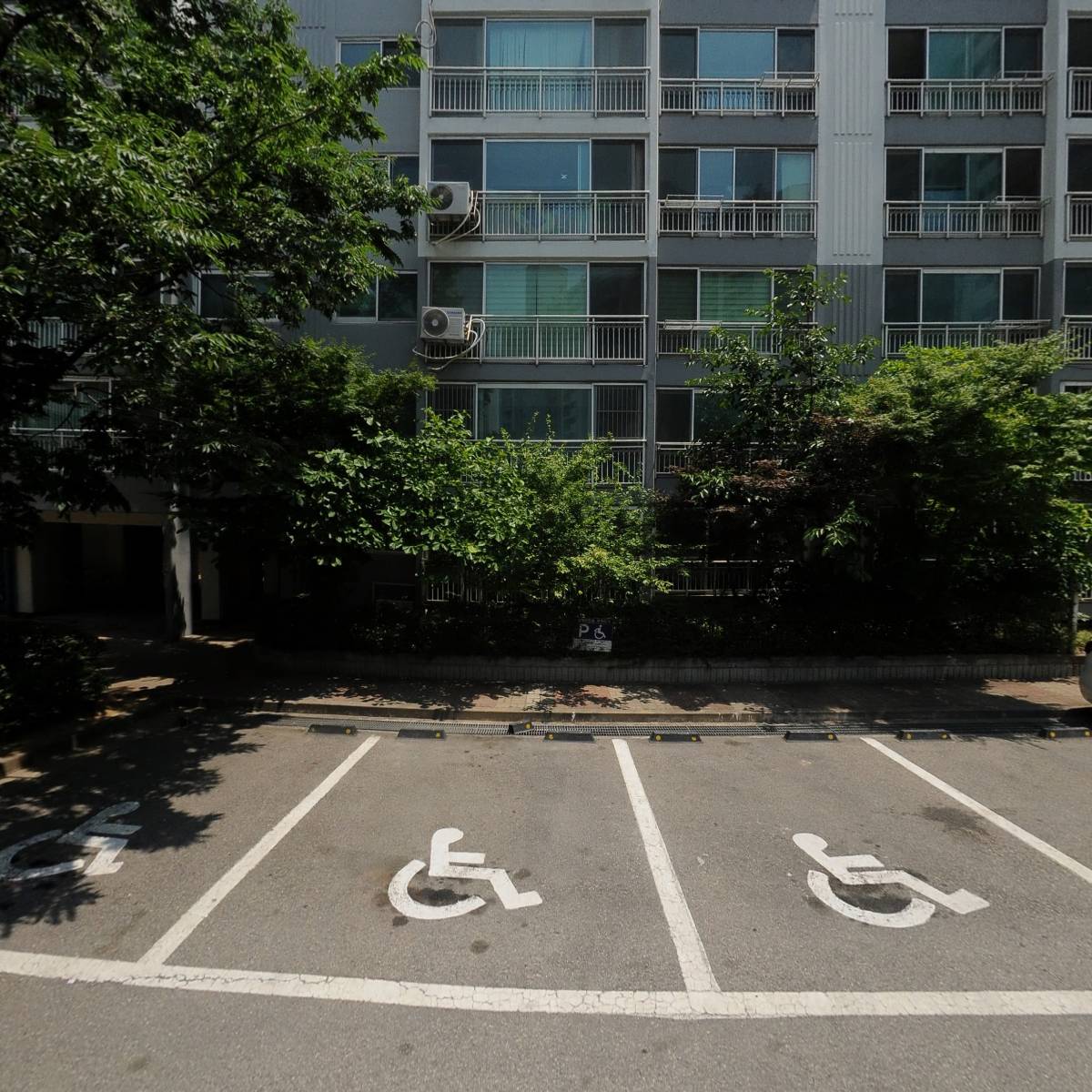 뉴본크로스_3
